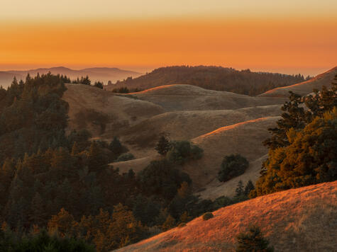 Mount Tamalpais